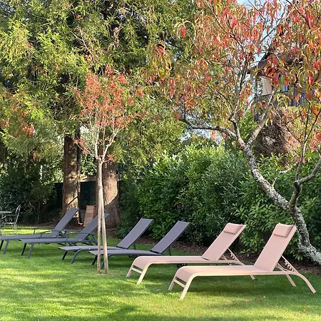 Le Hetre Rouge Charme & Alsace Lägenhet Barr